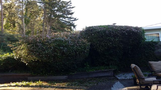 EdenCraft Luxury Landscape Studio