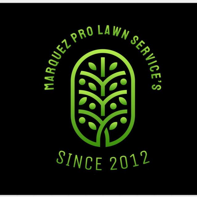 Quezon City Pioneer Valley Hardscape & Drainage