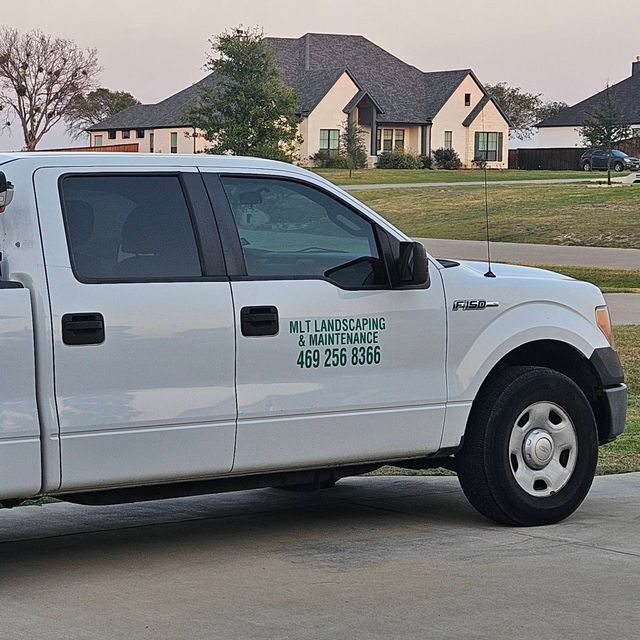 Amsterdam TimberLine Tree Care & Grounds