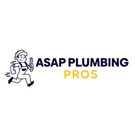 San Francisco TrueBlue Licensed Pipe Experts
